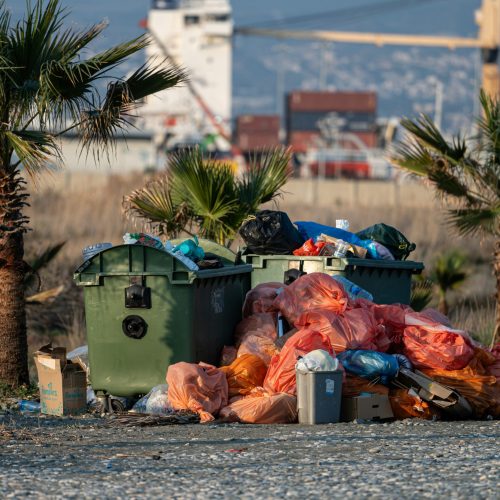 2021 – Πρωτοβουλία Συλλογής Απορριμμάτων στο Νησί